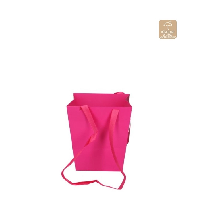 <h4>Bags Elegant 12.5/16.5*18cm</h4>