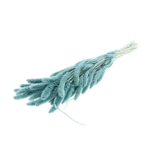 Bunch Setaria Slv L75 150g