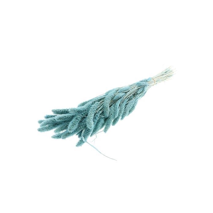 <h4>Bunch Setaria Slv L75 150g</h4>