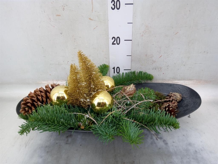 <h4>Arr.  Hippeastrum  L%</h4>