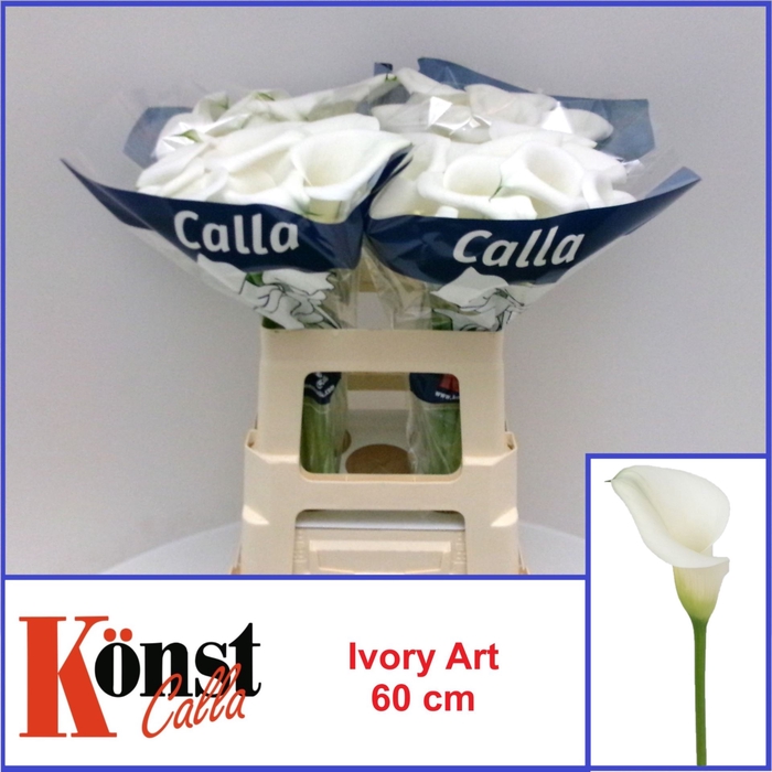 <h4>Calla Ivory Art</h4>