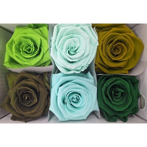 Ro Pres Classic Mix Green