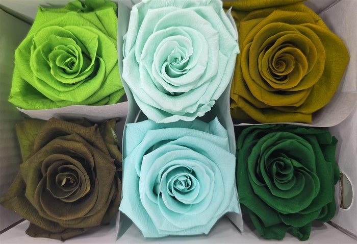 <h4>Ro Pres Classic Mix Green</h4>