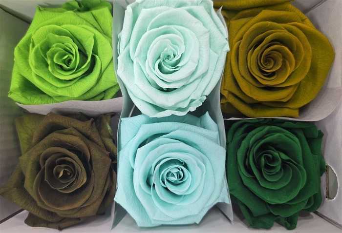 Ro Pres Classic Mix Green