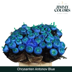 Chr G Antonov Blue