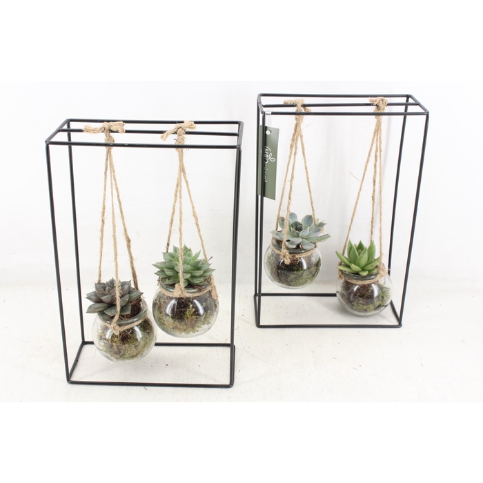 <h4>Arr2 Mb - Ijzer Rek 2glas</h4>