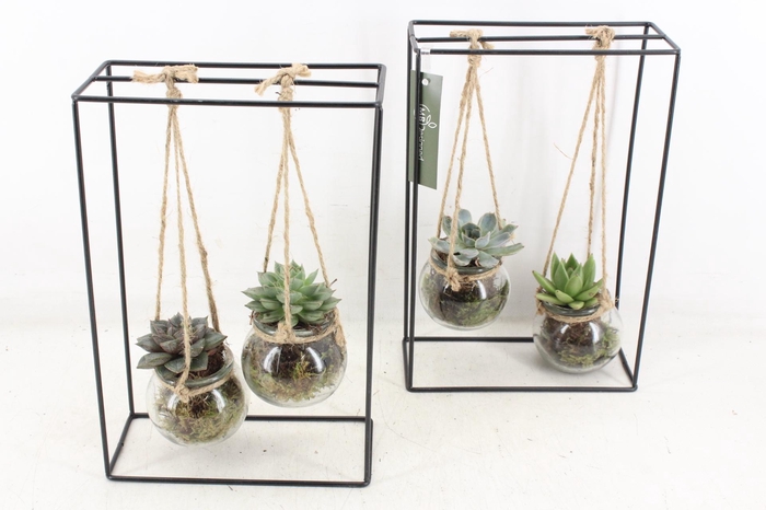 Arr2 Mb - Ijzer Rek 2glas