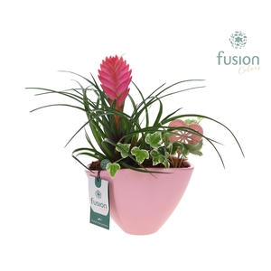 Pot keramiek ovaal Medium met Arrangement