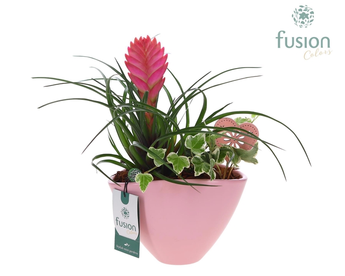 <h4>Pot keramiek ovaal Medium met Arrangement</h4>