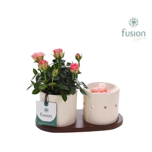 Fusion Scents keramiek Gift set plankje met Potroos