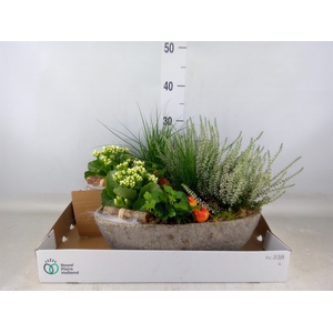 Arr.   Tuinplanten L%