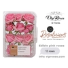 R EDIBLE ROSALICIOUS PINK