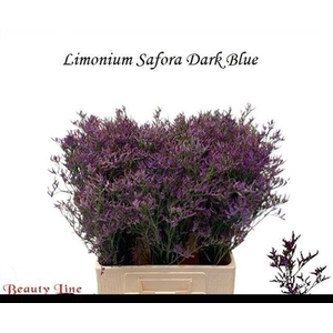 Lim Saf Dark Blue