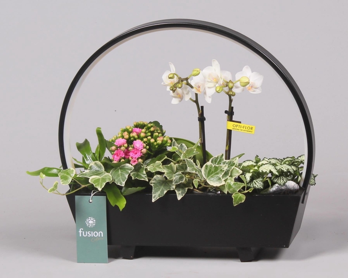 <h4>Lamp LED boog hout met Arrangement</h4>