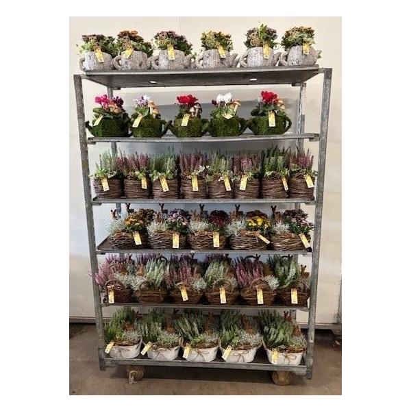 <h4>Mix CC Najaarsarrangementen</h4>