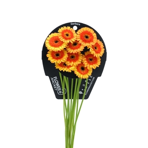 Ge Mi Decora flowerracket