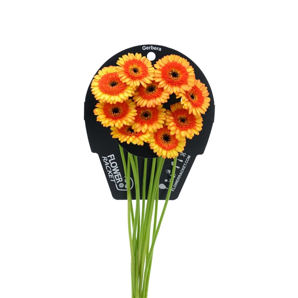 <h4>Ge Mi Decora flowerracket</h4>