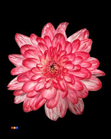 <h4>Chr T 2 Kl Baltica Lipstick</h4>