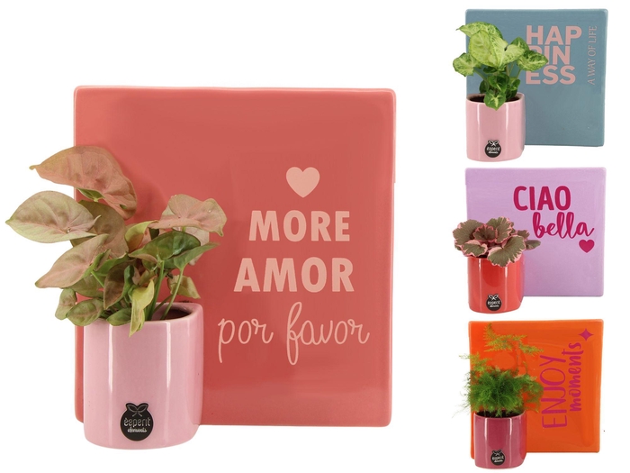 <h4>22010: Lovess arrangement</h4>