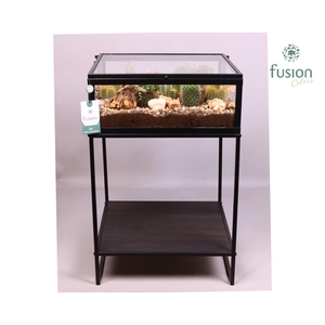 Metaal tafel met Cactussen arrangement