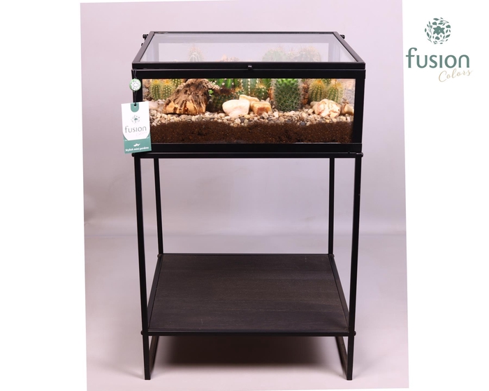 <h4>Metaal tafel met Cactussen arrangement</h4>