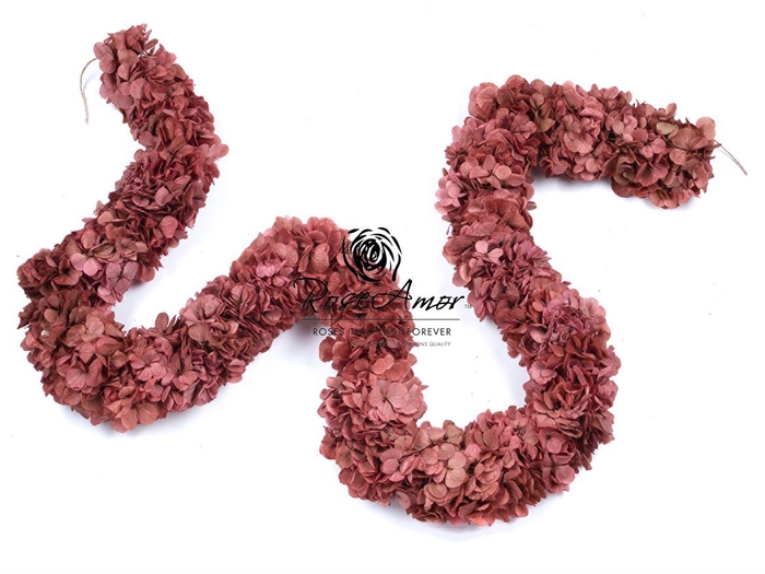 <h4>Guirnaldes Hydrangea 2meter Pin09</h4>