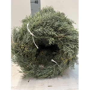 KRANS HALF GEBOND H%