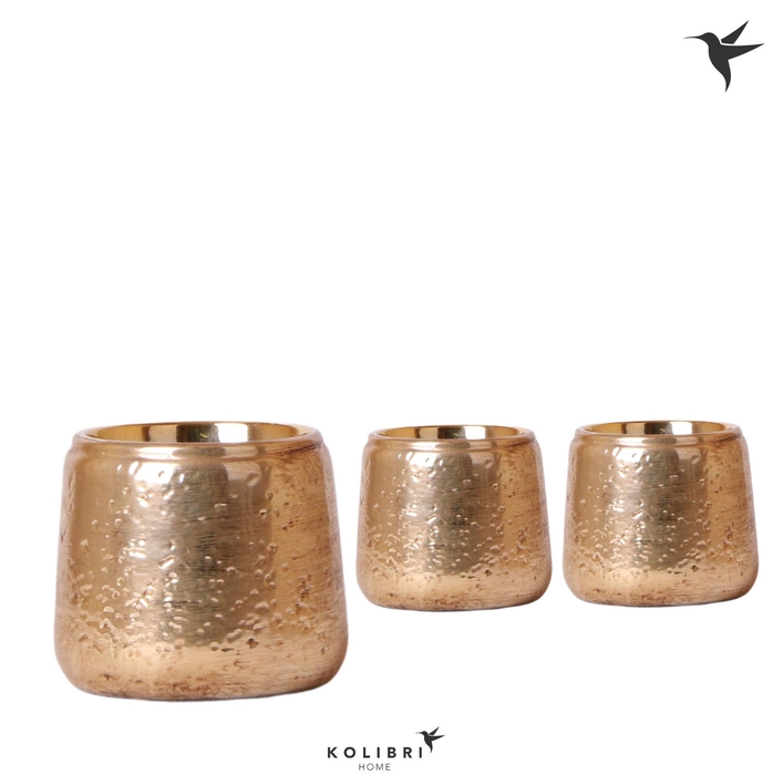 <h4>Kolibri Home Luxury pot gold</h4>