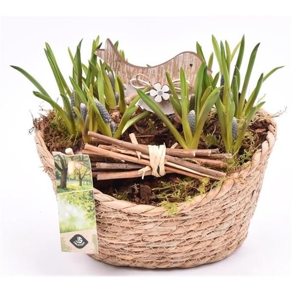 <h4>Jute mand ovaal 23x18.5cm</h4>