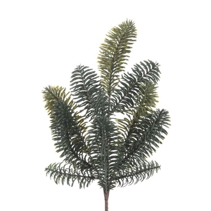 AF Nobilis L42cm Green