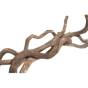 Branch Curly Vine L200 D4/7