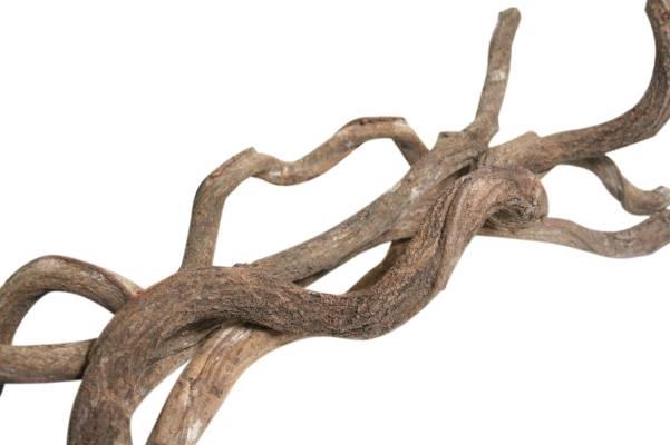 Branch Curly Vine L200 D4/7