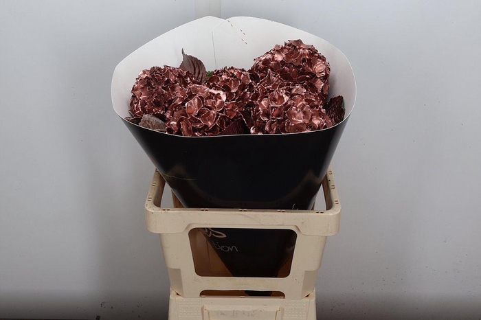 <h4>Hydr Wx 50cm Koper</h4>