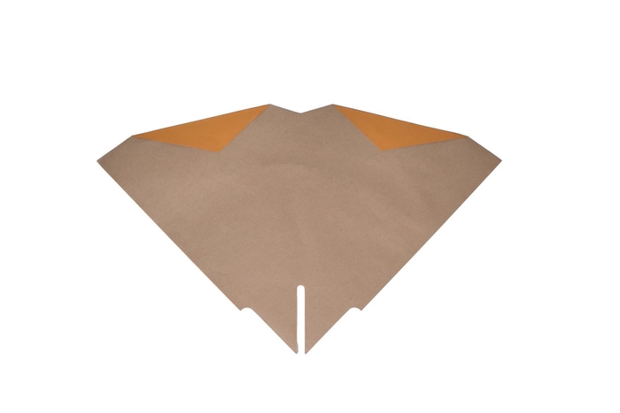 <h4>HOES KRAFT ORANGE INSIDE /100</h4>