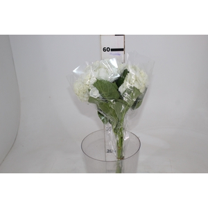 HORTENSIA 050 CM BRANCO