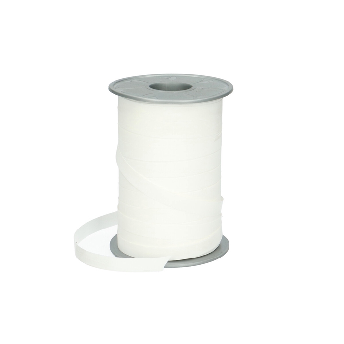 <h4>Ribbon Matt 10mm 200m 600</h4>