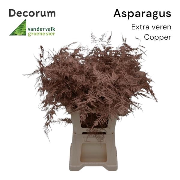 <h4>Asp extra veren Copper</h4>