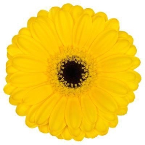 GE MI PACMAN Aquabox *160