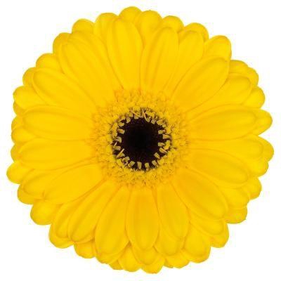 <h4>GE MI PACMAN Aquabox *160</h4>