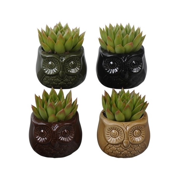<h4>PTHI5566 Arrangement Herfst Indoor in keramiek uilen potje</h4>
