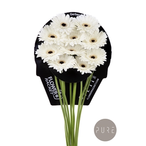 Gr Ge Valdano flowerracket