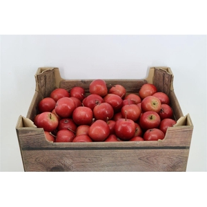 Sier Appels Red P Wdn Box