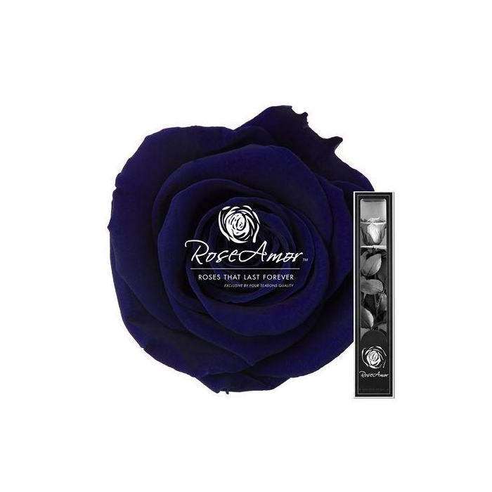 <h4>30cm Stem Blu03</h4>