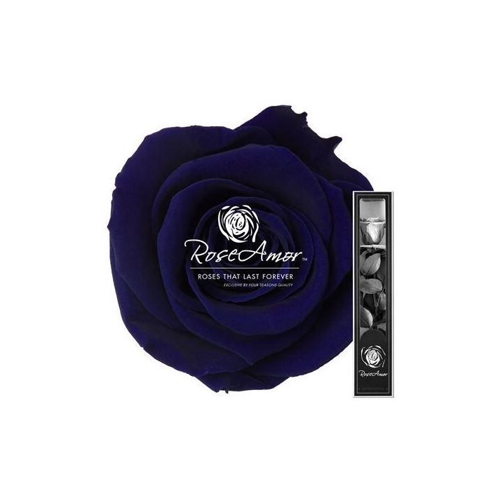 <h4>30cm Stem Blu03</h4>