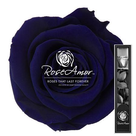 <h4>30cm Stem Blu03</h4>