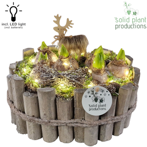 HH007 Bologna Grey Large Hyacint + LED