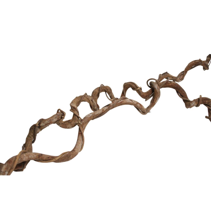 <h4>Branch Crazyvine Wrapped L180</h4>