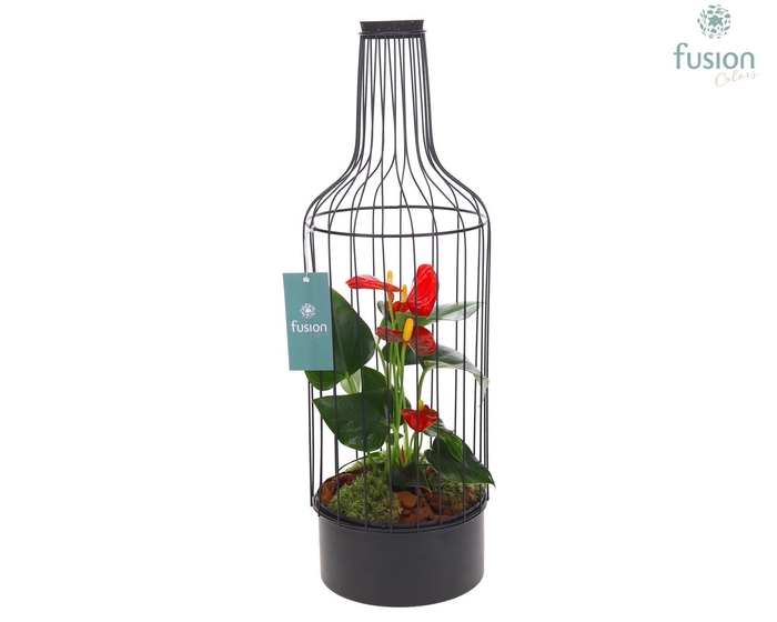 <h4>Metaal fles zwart Large met Anthurium</h4>