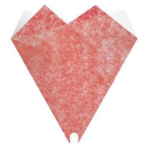 Valentine Sleeve Smartsl.Elegant 50*44cm x50