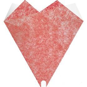 <h4>Valentine Sleeve Smartsl.Elegant 50*44cm x50</h4>